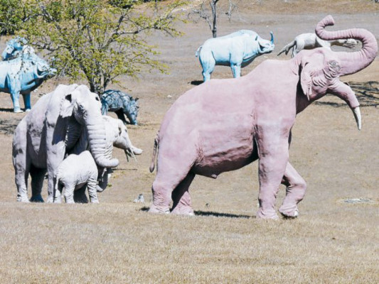 Animales de la prehistoria se refugian en el Parque de Baconao