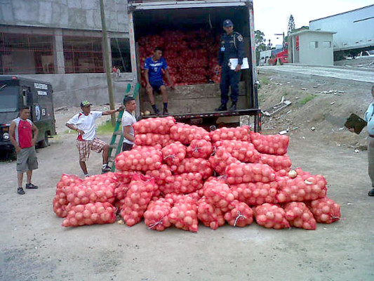 Decomisan 250 quintales de cebolla procedente de El Salvador