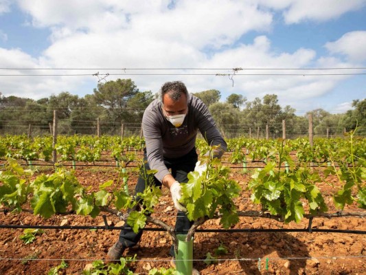 En imágenes: Españoles adaptándose a la realidad tras un mes encerrados