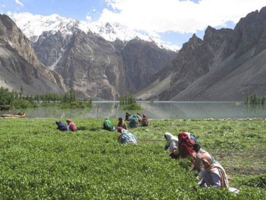 Los hunza, una tribu que no se enferma ni envejece