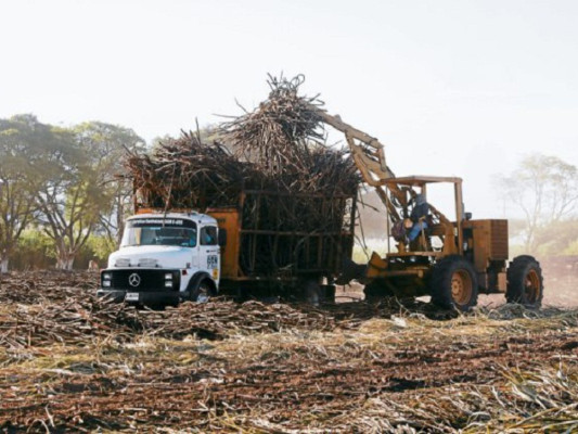 Fenagh denuncia invasiones en toda Honduras