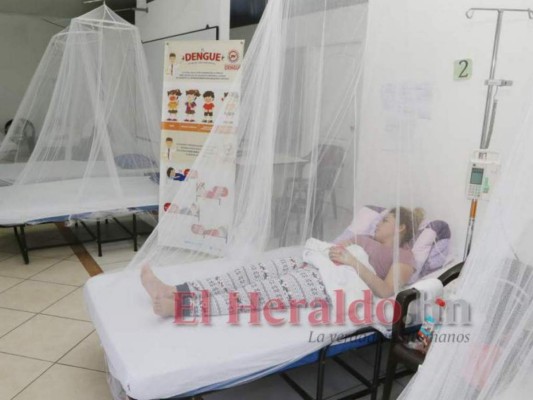 La capital de Honduras pasa a estado de alerta por casos de dengue