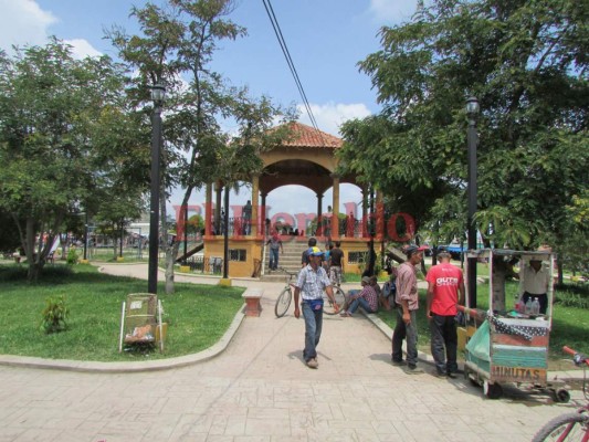 El paraíso del café y la cultura