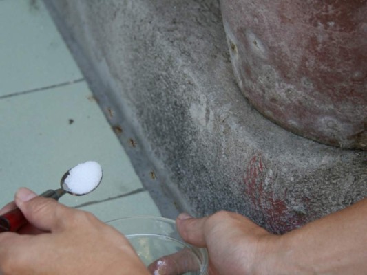 Erradique las plagas en su hogar