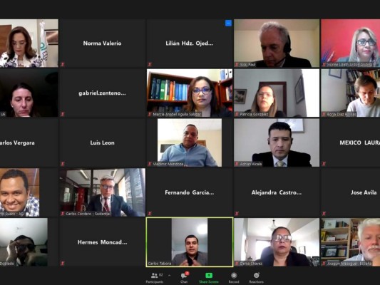 IAIP, TF, RTA, EUROsocial+ impartieron el Seminario Virtual Internacional&nbsp;