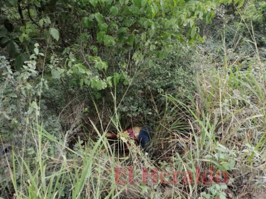 Una nueva masacre y el crimen contra un comunicador, entre los sucesos de la semana