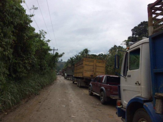 Alianza de Oposición realiza tomas en diferentes ejes carreteros de Honduras