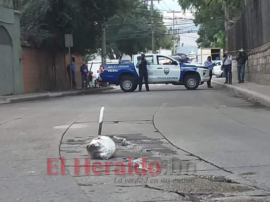 Los paquetes con restos de cerdo dispersos en la capital: ¿Broma de mal gusto o mensaje oculto? (FOTOS)
