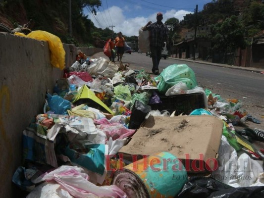 Solo el 7% de los desechos se recicla en la capital