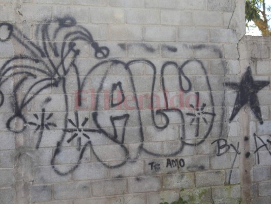 Orden y seguridad piden pobladores de Limones en La Tigra