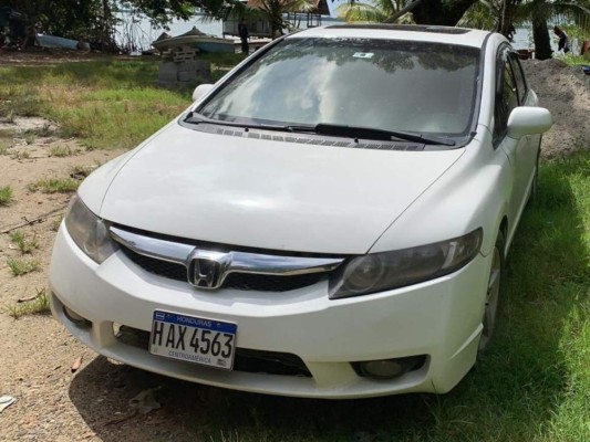 Operación Independencia: Hallan armas y especies en peligro de extinción