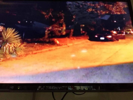 Balacera deja dos personas muertas en colonia Prado Alto de San Pedro Sula