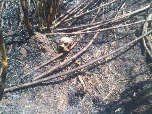Encuentran cinco osamentas en Río Lindo, Cortés, al norte de Honduras