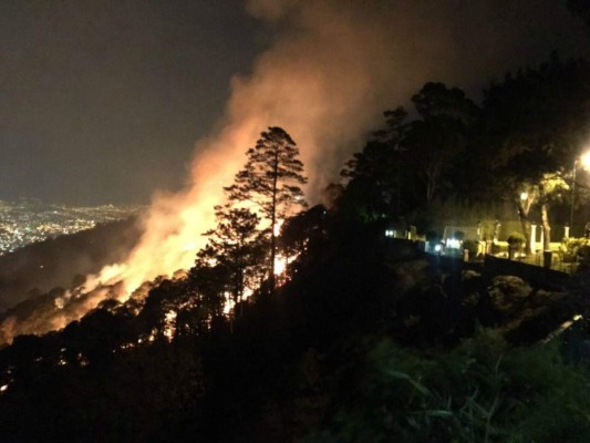 Voraz incendio consume unas 30 hectáreas de bosque de la capital