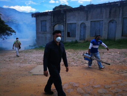 Cedros busca castigar como delito el no chapear solares