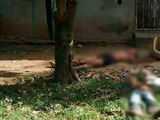 Asesinan a primos cuando iban a ordeñar vacas El Porvenir, Atlántida