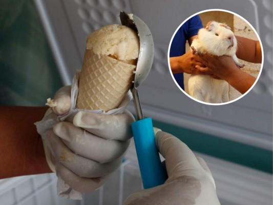 Heladería en Ecuador sirve sabores de conejillo de indias y escarabajo