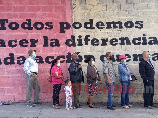 Con mascotas, aglomerados y estrenado sistema biométrico: Curiosidades del proceso electoral (FOTOS)