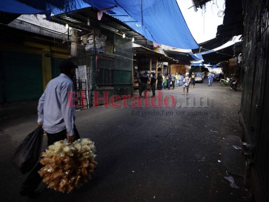 Coronavirus Honduras: Siete muertos, 141 casos, encierro e incertidumbre