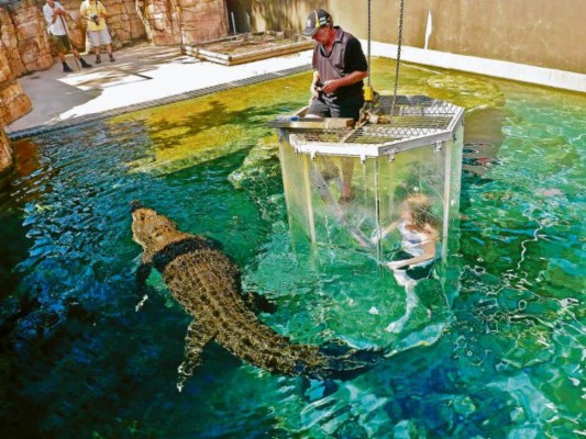 Un parque para interactuar con cocodrilos