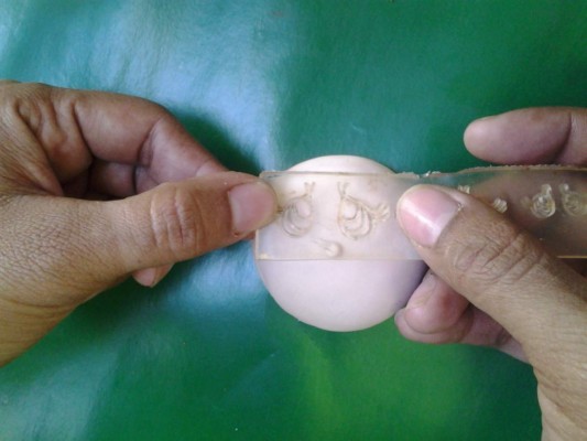 Acoja a las e_SDLqFofuchas” en casa