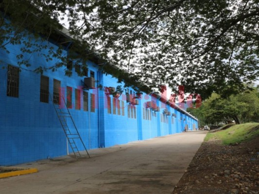 Más de 60 mil conductores de rastras, buses y taxis tendrán que certificarse el próximo año