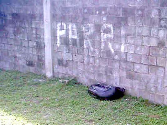 Al menos cuatro muertos se reportan en San Pedro Sula