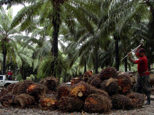 Estado paga doble cuota por las deudas del MUCA