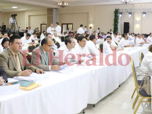 Interpretaciones sin sanción del Ejecutivo busca el Congreso Nacional