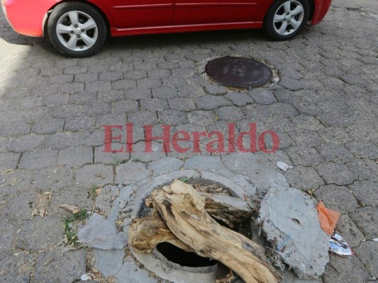 Un pedazo de tronco sirve de tapadera de una cloaca en la calle del barrio Villa Adela&nbsp;&nbsp;