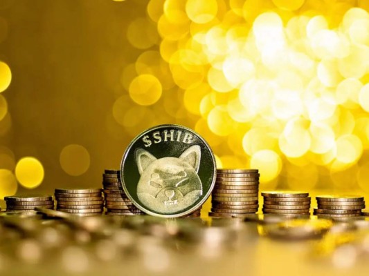 Shiba Inu coin, la criptomoneda del meme que sigue subiendo su precio