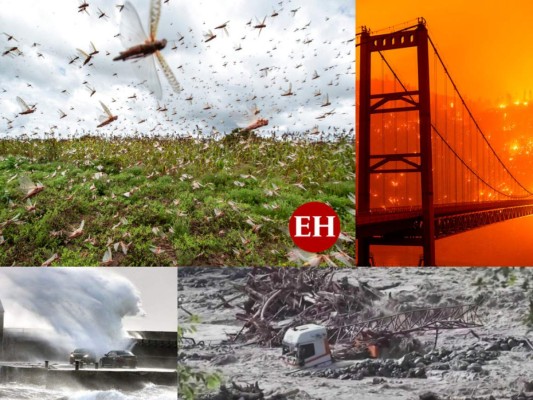 5 catástrofes de 2020 que no tuvieron que ver con la pandemia (FOTOS)  
