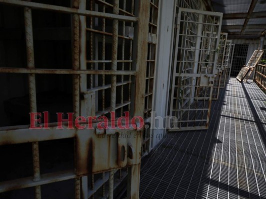 En selva y hábitat de serpientes se convirtió la megacárcel de Naco (Fotos)