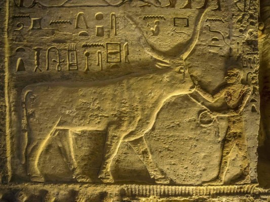 FOTOS: Así es el interior de la tumba del sacerdote Wahtye encontrada en Egipto