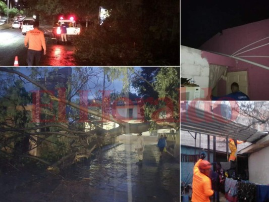 Los daños que causaron las lluvias y fuertes vientos en la capital de Honduras
