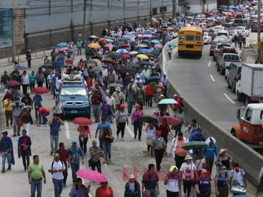 FOTOS: Las masivas protestas convocadas por médicos y maestros pese a la derogación de los PCM