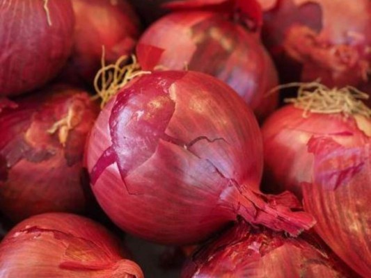 Vinculan brote de salmonela en EEUU con cebollas rojas