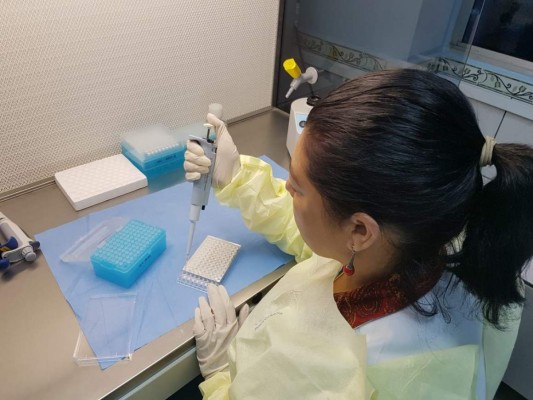 Honduras cuenta con uno de los mejores laboratorios de estudios para trasplantes en Centroamérica