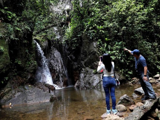 Lago Fest: un paraíso para senderismo, kayak y avistamiento de aves