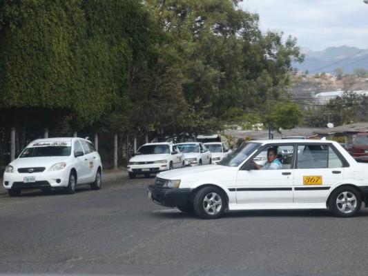 En la ilegalidad más de 900 unidades del transporte capitalino