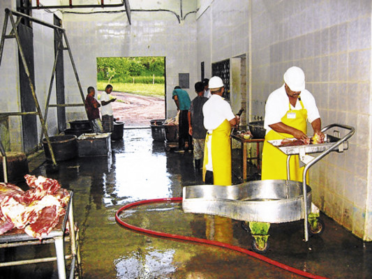 Olancho pretende exportar carne hacia Egipto y Bélgica