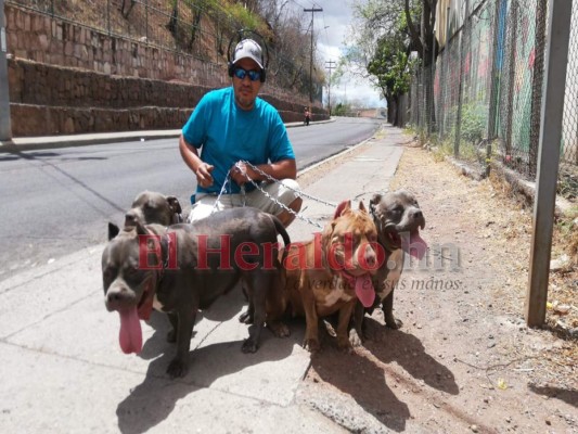 FOTOS: Ventas ambulantes, protestas y desalojos, hondureños no acatan medidas