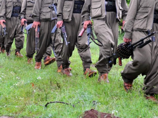 El artículo de Octavio Carvajal: 'Guerrilleros” de tripa