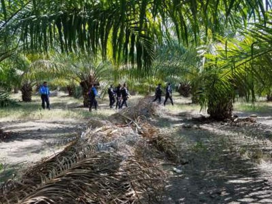 En enfrentamiento muere presunto miembro de la MS-13 en Choloma