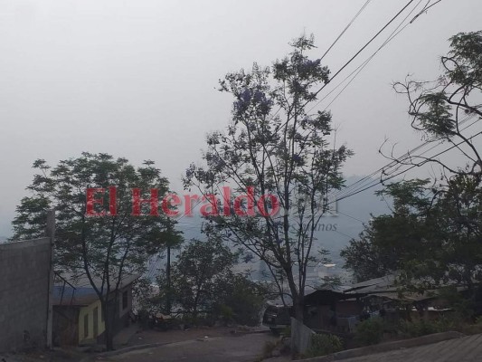 FOTOS: Capitalinos ahogados por el humo de los incendios, sin agua y confinados