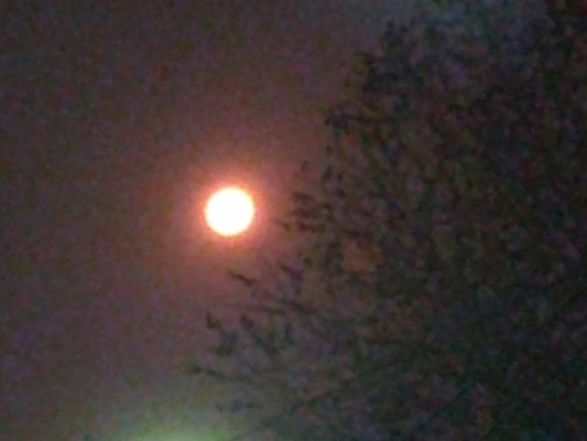 FOTOS: Así luce esta noche la Superluna rosa sobre Honduras