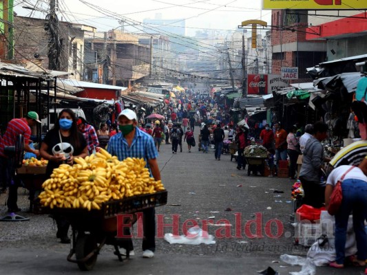 Distrito Central: Resultados de segmentar por un dígito se verán en dos semanas