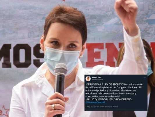 Beatriz Valle confirma que fue derogada la Ley de Secretos