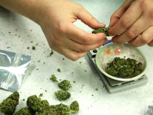 Uso de marihuana será legal en el estado de California, Estados Unidos, pero no en la frontera