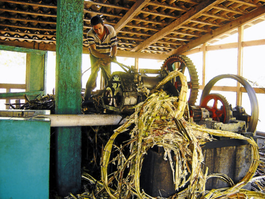 Taulabé: Azúcar morena con sabor a milagro